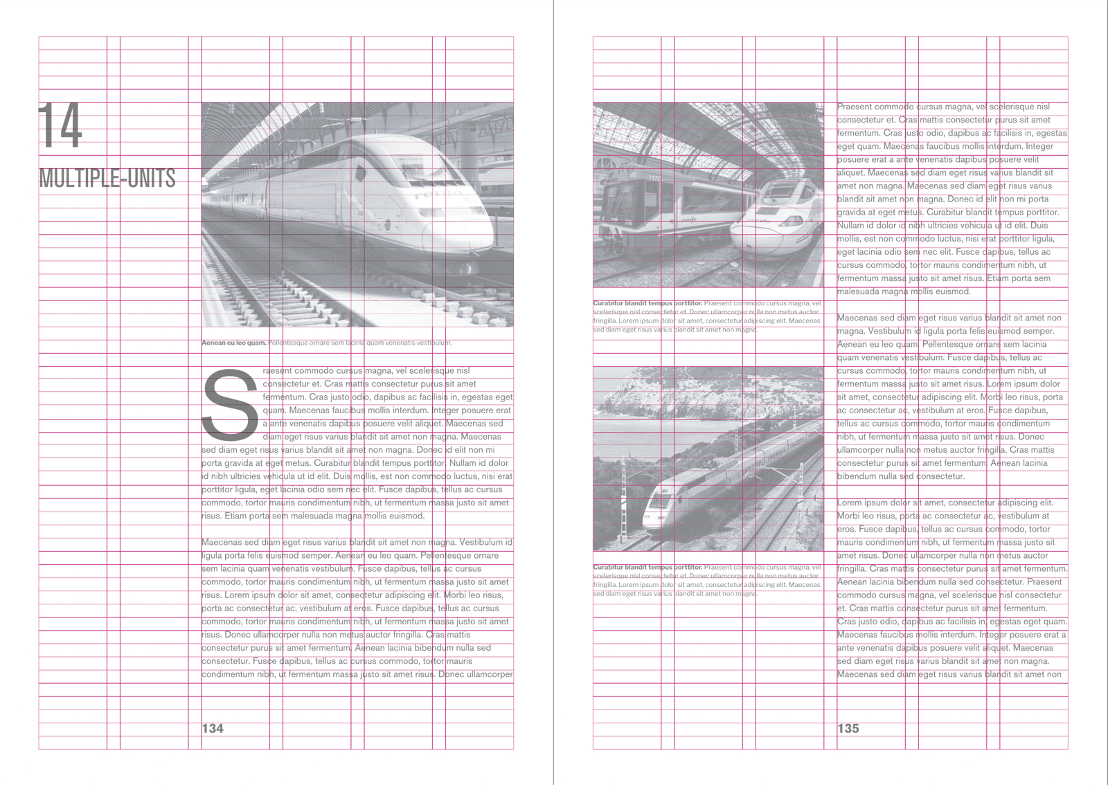 European Railways Book Grid Example